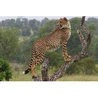 7-Day Private Tour of Kruger National Park