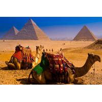 7-Days 5 Star Cairo and Nile Cruise Tour with Domestic Flights