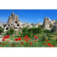 7-Day Turkey Tour from Kusadasi: Istanbul, Pamukkale, Ankara, Cappadocia and Ephesus