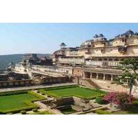 7-Day Royal Forts and Palaces Tour with Tiger Safari in Ranthambore from Jaipur