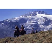 7-Day Andes Crossing from Mendoza to Chile by Horse