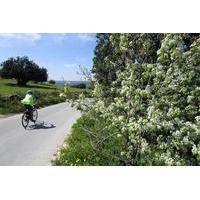 7-Day Sicily Bike Tour of the Baroque Hill Including Accommodation in 3 or 4 star Hotels