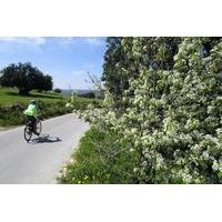7-Day Sicily Bike Tour of the Baroque Hill Towns Standard accomodation-BB or 2 star hotels
