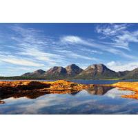7 day tasmanian highlights tour from hobart including cradle mountain  ...