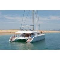 7 day catamaran sailing cruise to the tobago cays and the grenadines