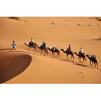 7-Night Private Caravan Trail Explorer Tour from Casablanca