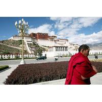 7-Day Private Tibet Tour: Lhasa, Gyangtse, and Shigatse