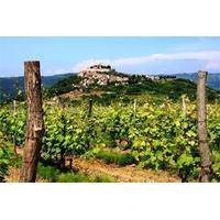 7-Day Istrian Wine Trail Tour from Pula