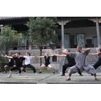 7 day shaolin kung fu training camp from beijing