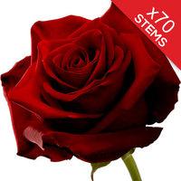 70 Red Roses