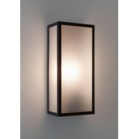 7187 Messina Rectangular Outdoor Wall Light Frosted Glass