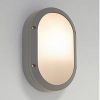 7123 Arta Oval Outdoor Wall Light in Painted Silver