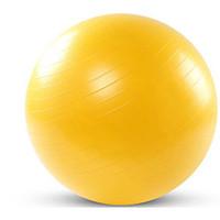 75cm Fitness Ball/Yoga Ball Antiskid Adjustable Thick Neck Exercise Strength Training Yoga Exercise Fitness Gym Plastic