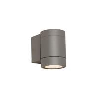 7582 Dartmouth Single Exterior Wall Light in Painted Silver Finish