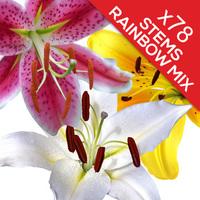 78 Classic Mixed Lilies