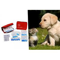 £7.99 instead of £12 (from Bunty Pet Products) for a 34 piece pet first aid veterinary kit - save 47%