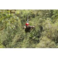 8 Zipline Tour in Spokane
