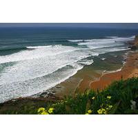 8 days and 7 nights at surf family in ericeira from lisbon