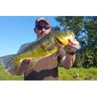 8-hour Bass Fishing Trip near Boca Raton