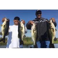 8-hour Butler Chain of Lakes Fishing Trip Near Orlando