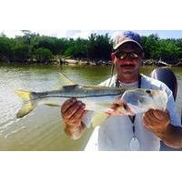 8-hour Clearwater Inshore Fishing Trip