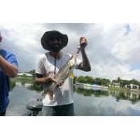 8-hour Tampa Inshore Fishing Trip