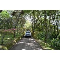 8-Hour Private Tour in 4x4 Vehicle from Ponta Delgada