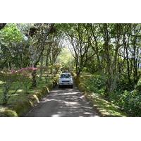 8 hour private tour in 4x4 vehicle from ponta delgada