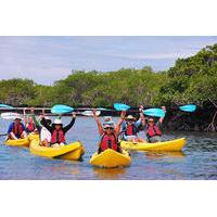 8-Day Galapagos Multi-Sport Adventure Tour Visiting Three Islands