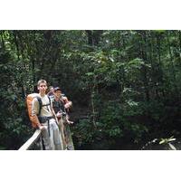 8 day rupununi savanna and kaieteur water falls adventure from georget ...