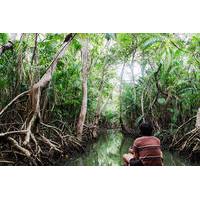 8-Day Exploration of the Amazon Lowlands from Belem