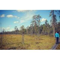 8-Day Small-Group Summer Activity Tour in the Wilderness of Northeast Finland