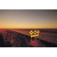 8 day adelaide to perth ultimate wildlife experience including the ind ...