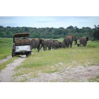 8-Day Botswana and Namibia Tour from Maun