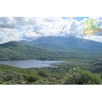 8-Day Guided Hiking Tour of Kerry from Killarney