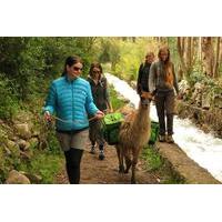 8 night tour to cusco from lima by air peru andean living and culture