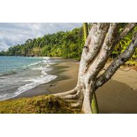8 Day Costa Rica Natural Wonders Adventure