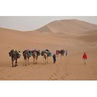 8-Day Camel Trekking Tour in the Moroccan Sahara Desert from Marrakech