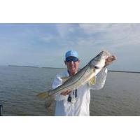 8 hour everglades flamingo inshore fishing trip