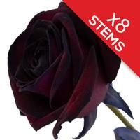 8 Black Roses