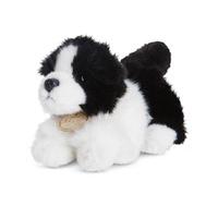 8 miyoni tots collie soft toy