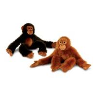80cm Long Monkeys Soft Toy 2 Assorted Colours