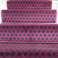 80cm Width - Modern Polka Dots Purple Stair Carpet