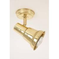 815 PB Industrial 1 Light Brass Spot Light