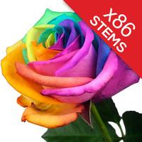 86 Happy Roses