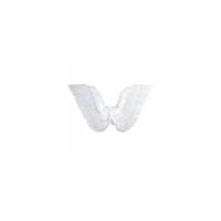 86cm x 31cm White Feathered Wings