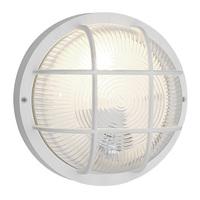 88807 Anola Outdoor Wall And Ceiling Security Light In White