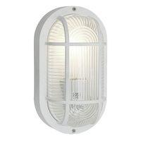 88806 anola white outdoor wallceiling light ip44