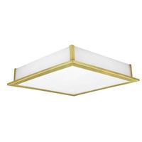 89455 Auriga 1 Light Low Energy Large Brass Flush Lamp