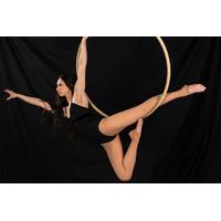 9 instead of 35 for four aerial hoop lessons from pole princess save 7 ...